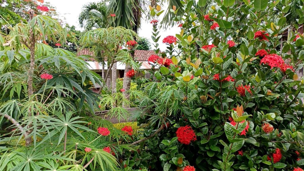 Finca Magdalena Eco Lodge Balgue Exterior photo