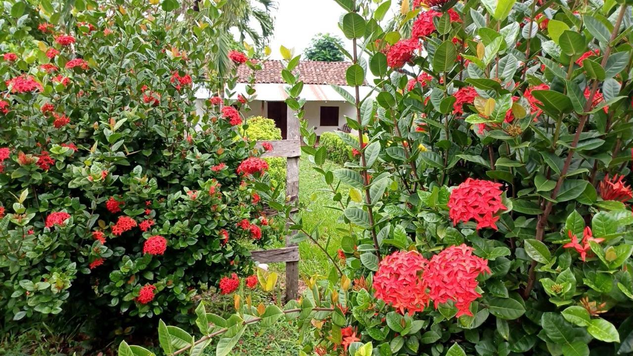 Finca Magdalena Eco Lodge Balgue Exterior photo